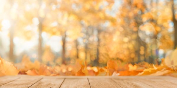 Autumn leaves on wooden surface with blurred background.