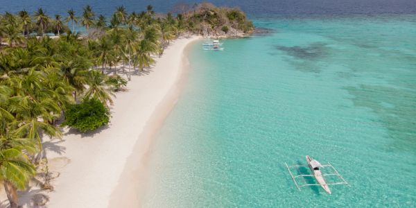 Tropical beach with turquoise water and palm trees.