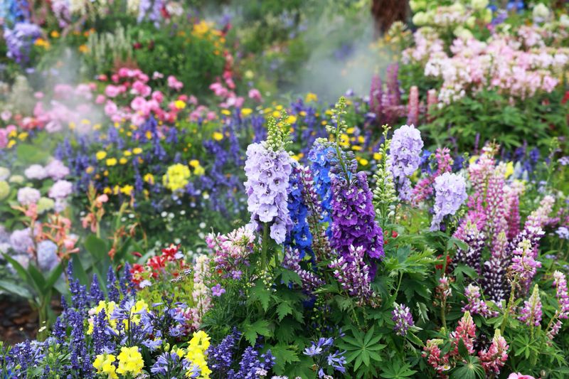 The garden is full of beautiful flowers