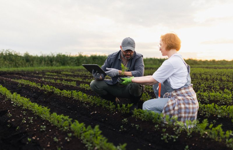 Two farmers evaluate plants in a field, emphasizing sustainable agriculture and modern farming techniques. They utilize technology for data analysis, ensuring quality growth and sustainable practices.