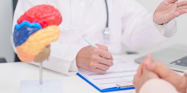 Doctor consulting patient with brain model on desk.