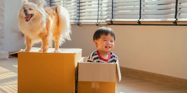 A happy toddler sits in a cardboard box with a dog standing on another box nearby.