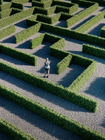 Person standing in a green hedge maze.