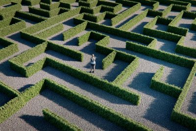 Person standing in a large hedge maze.