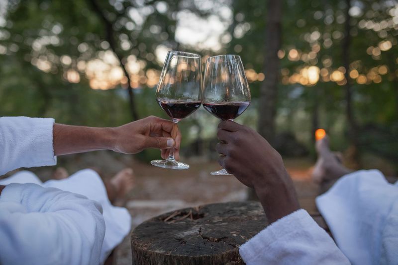 African American gay male couple, in bathrobes, toasting and drinking red wine, relaxing outdoors in a fantastic glamping resort center accommodation.