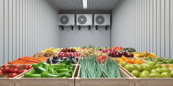 Fresh vegetables stored in a refrigerated room with cooling units.