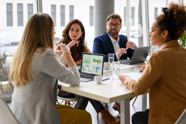 Group of professionals in a business meeting.
