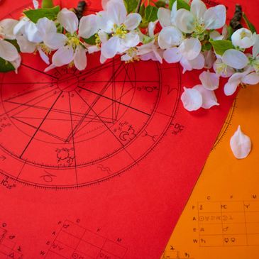 White flowers on colorful astrological charts with zodiac signs and symbols.