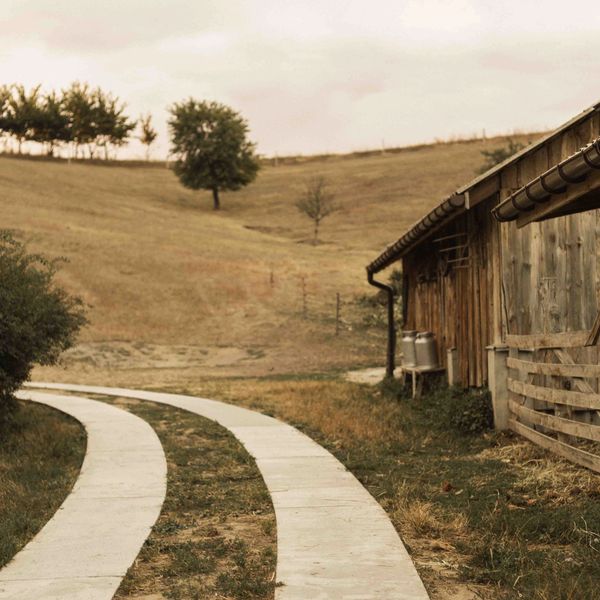 Curved concrete path leads past a rustic wooden barn in a dry, grassy landscape.