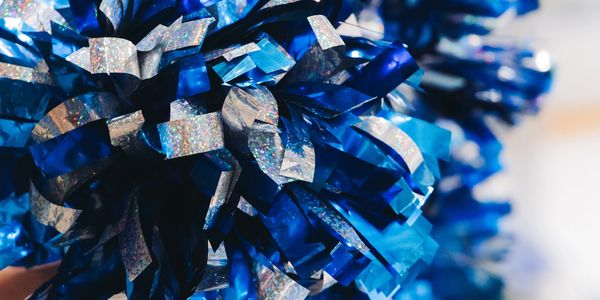 Close-up of shiny blue and silver pom-poms.
