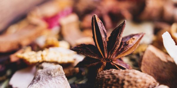 Close-up of star anise among various dried spices.