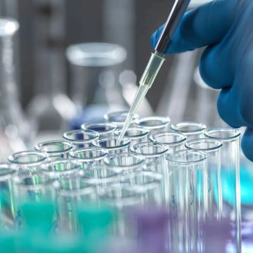 Scientist adds liquid to a test tube in lab.