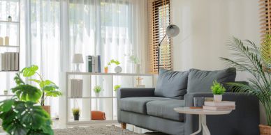 Cozy living room with gray sofa and plants.