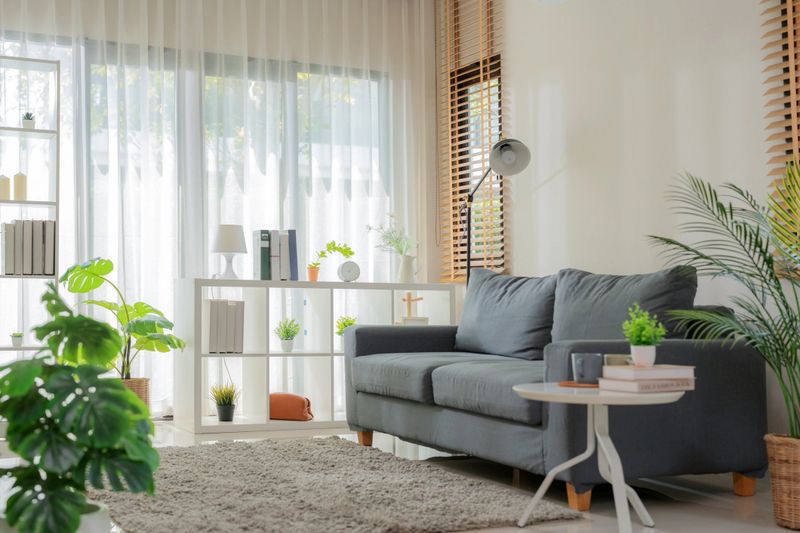 Warm modern living room with elegant design. Featuring a soft sofa, clean bookshelf, and relaxing ambiance. Perfect domestic lifestyle setting with cozy furniture, houseplants, and sunlight filtering through windows. Interior design inspiration for real estate or home improvement concepts.