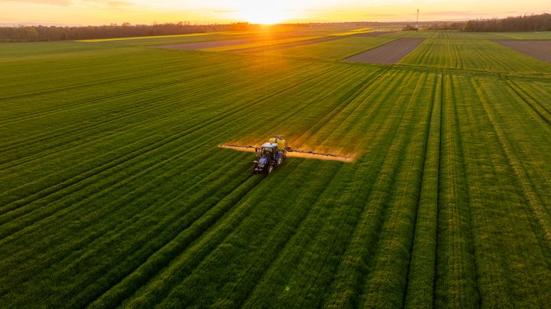 A tractor is fertilizing a vast green agricultural field at sunset, creating a serene rural atmosphere. The golden light adds warmth and depth to the lush landscape.