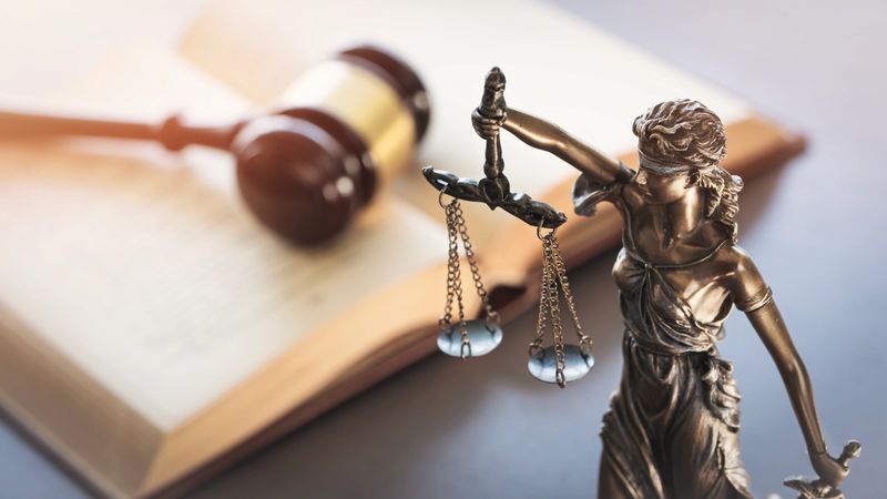 Legal Support & Field Services