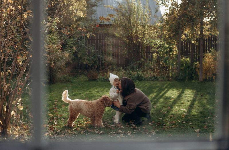 A parent crouches in the garden as a child plays with a dog, surrounded by colorful autumn leaves. The scene captures warmth and joy in a cozy backyard setting.