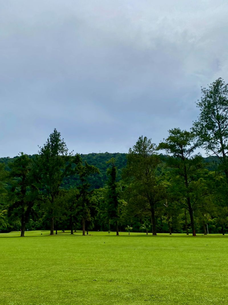 A wide view of a lush green lawn bordered by tall trees under a grey, overcast sky.