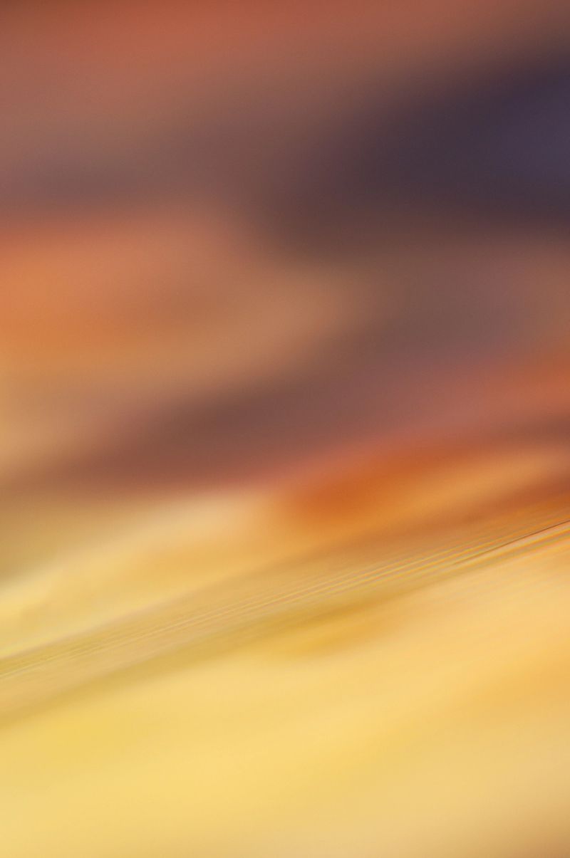 The artwork presents a dynamic mix of warm colors evoking the beauty of a sunset.