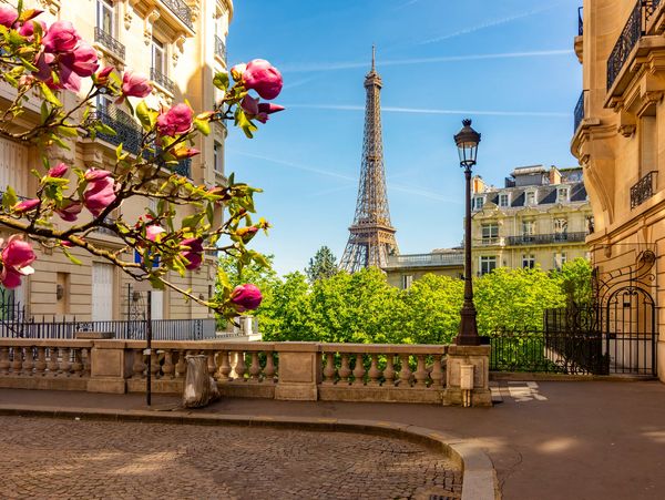 Eiffel Tower view with spring flowers and Parisian buildings.