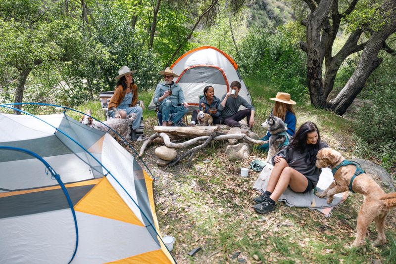 A multi ethnic group of friends laughing and relaxing in a natural outdoor setting. Camping with tent.