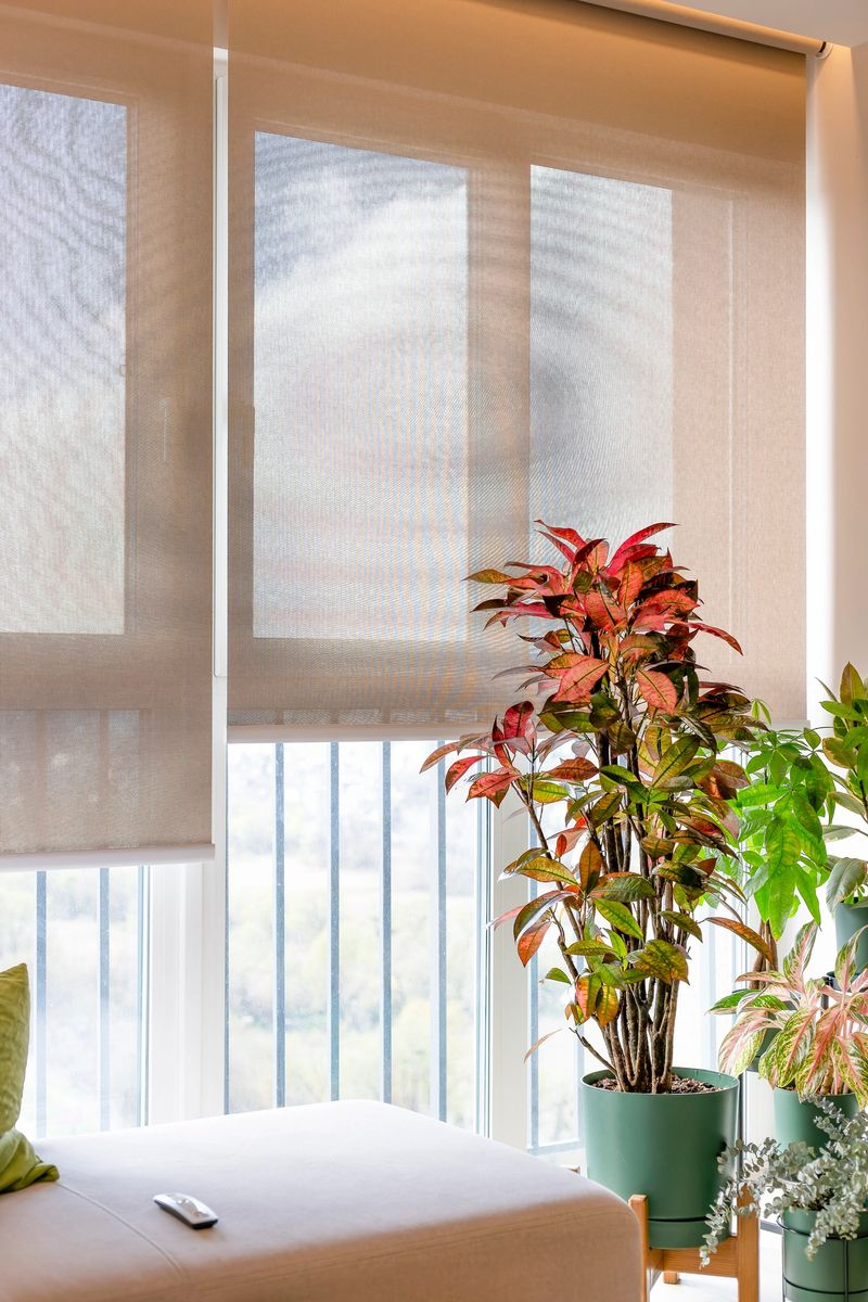 Automatic roller blinds installed in a ceiling recess filter daylight through large windows, creating bright interior. Control panel for sunscreen shutters lies on a sofa. Indoor plants in cozy room.