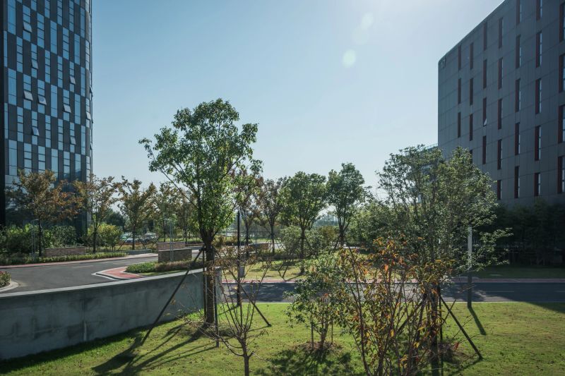 Tranquil Urban Oasis: Innovative Architecture Meets Lush Greenery in the City