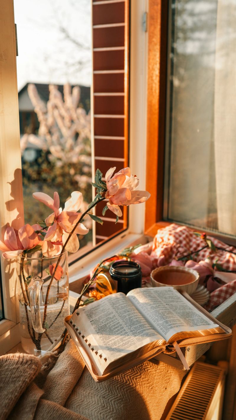 Open book on a wooden windowsill with magnolia flowers, a teacup, and gingham fabric bathed in warm golden sunlight, creating a peaceful morning reading scene.