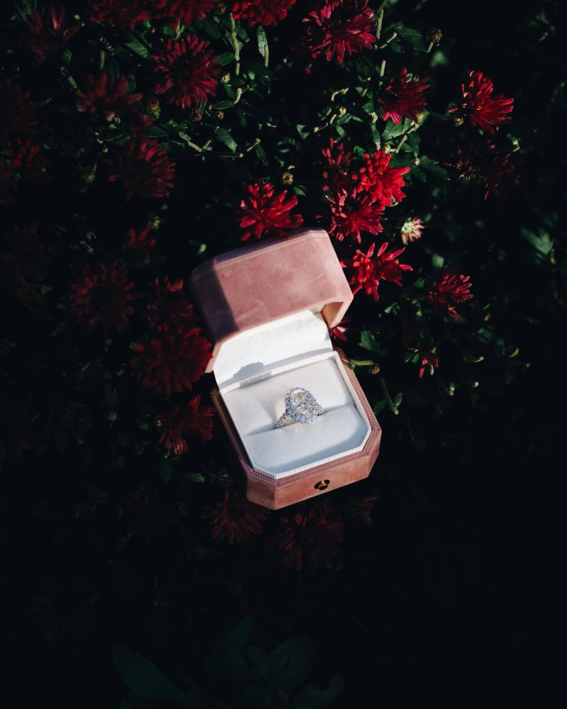 Elegant diamond ring in a velvet box surrounded by vibrant red flowers, capturing a romantic and luxurious moment.