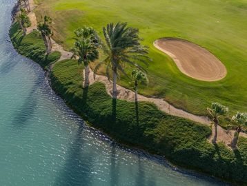 Aerial view of a golf course with palm trees beside a water body.