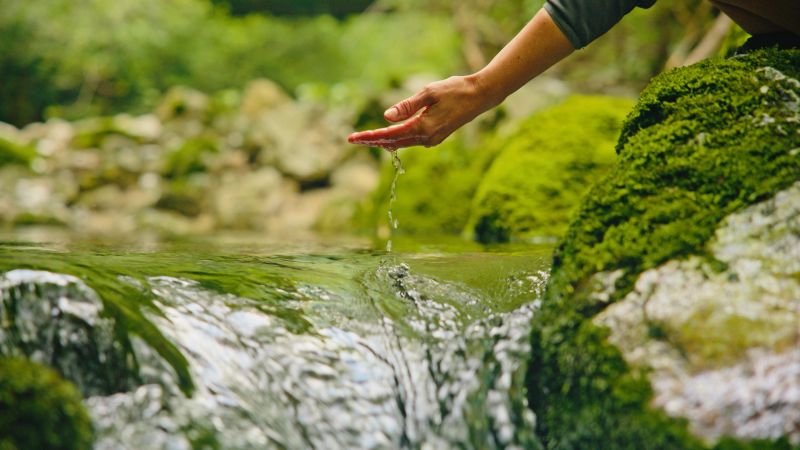 A hand gently cups fresh, clear spring water flowing through a moss-covered forest stream. The serene greenery enhances the tranquil, natural setting.