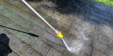 Roof Cleaning