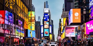 Brightly colored parrots perched on a branch in a lush forest.