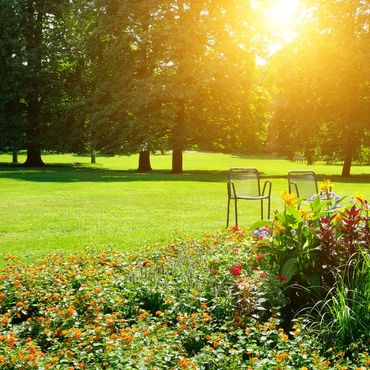 Weekly commercial lawn care results in Chesapeake VA