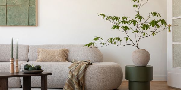 Modern living room with beige sofa, green candles, and a large plant in a pot.