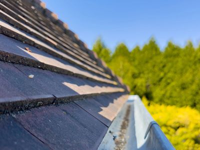Clean Gutters after doing a two-story gutter cleaning