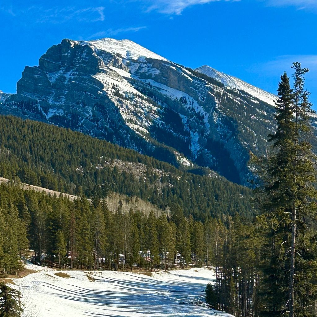 A view Ice Mountain View Trees