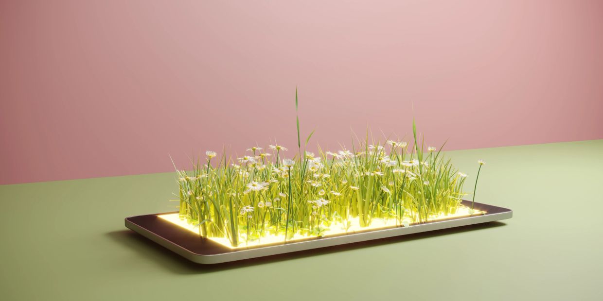 Smartphone with grass and flowers growing out of its screen.