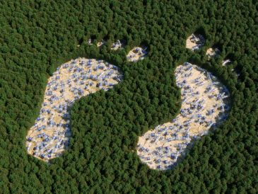 Two sandy footprints in a forest.