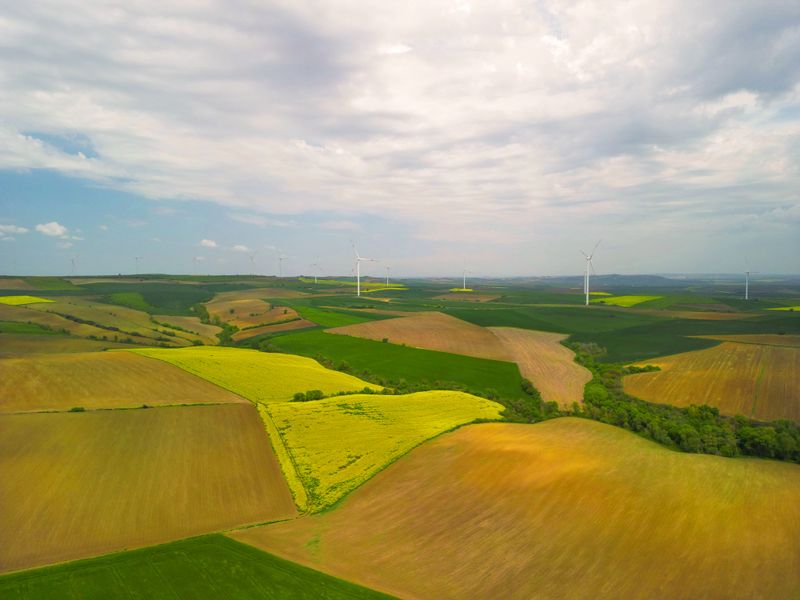A wide aerial drone view capturing the breathtaking beauty of yellow rapeseed (canola) fields in full bloom, stretching across a vast rural farmland. Towering wind turbines rise above the golden landscape, casting long wind turbine shadows across the flowering crops. This striking visual combines the natural rhythm of agriculture with the modern presence of renewable energy infrastructure, symbolizing both sustainability and productivity. Ideal for themes such as eco-friendly farming, clean energy, countryside life, environmental balance, and seasonal transformation.