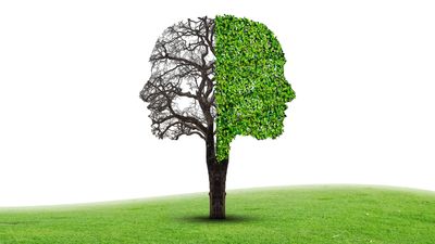 A tree shaped like two human faces, one side barren and the other lush.