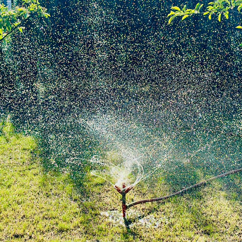 sprinkler spraying water on the lawn