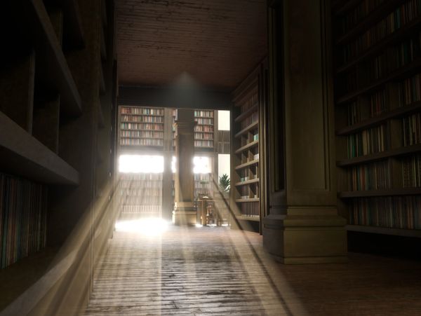 Sunlight streams through a grand library filled with books and wooden pillars.