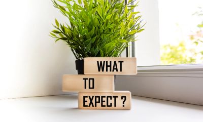 Wooden blocks spell out 'What to Expect?' next to a green potted plant by a window.