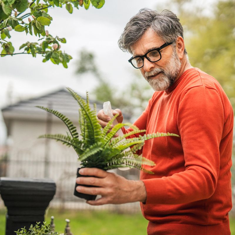 Joyful moment of senior man gardening and watering with spray potted plants, showcase love for nature in a serene outdoor setting