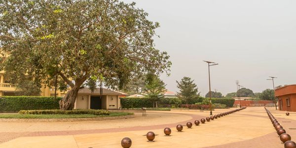 A spacious courtyard with a large tree and lined with spherical bollards.