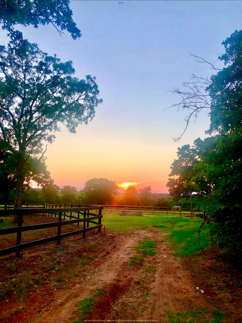 Sun sitting in the country
