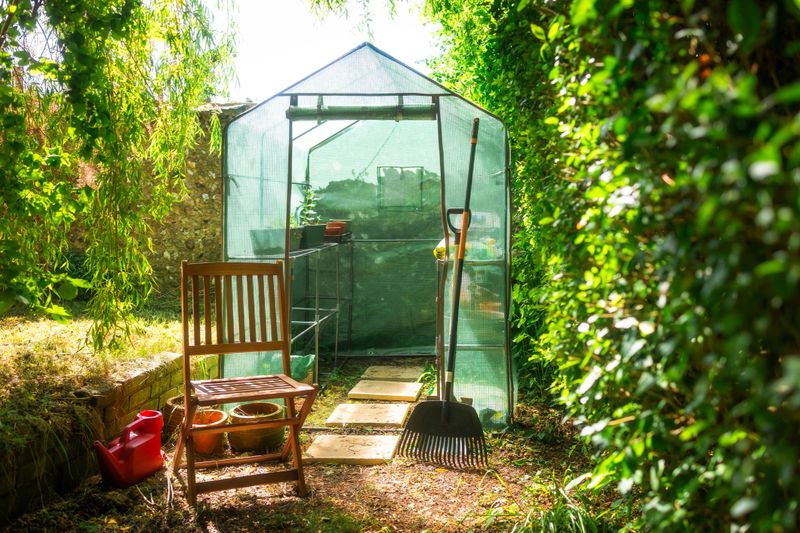 A small greenhouse on a sunny day in a domestic garden. Garden implements lean against the greenhouse, while a wooden seat stands outside.