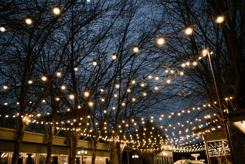 Evening scene with string lights glowing above, hung between leafless trees, creating a cozy outdoor atmosphere in a patio or garden setting. Captures peaceful ambiance.