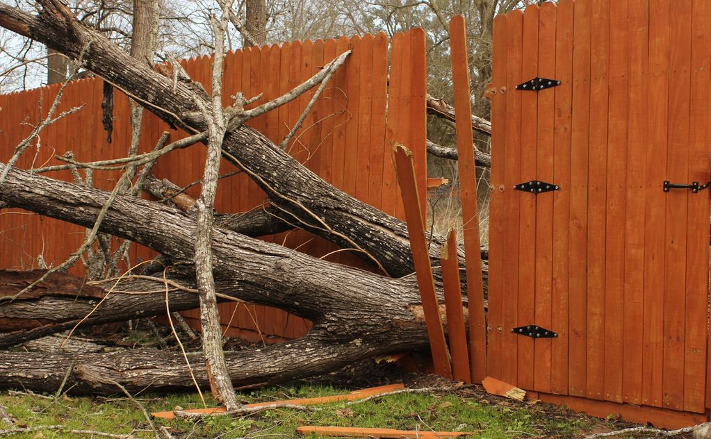 Fallen tree breaking a wooden fence and gate in a yard. Repair Services in Kingsport
